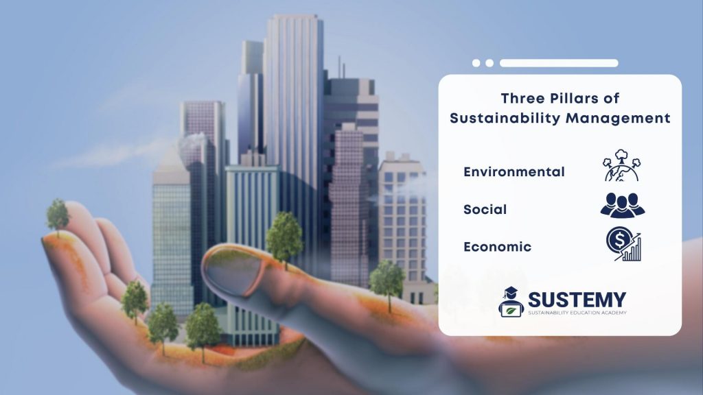 Infographic of the three pillars of sustainability management