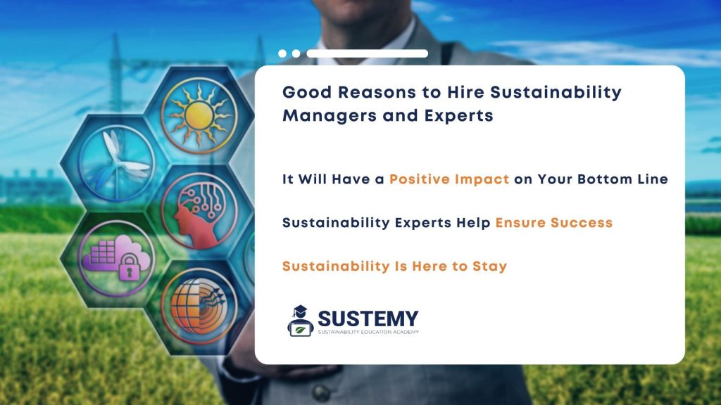 Infographic of the good reasons to hire sustainability managers and experts