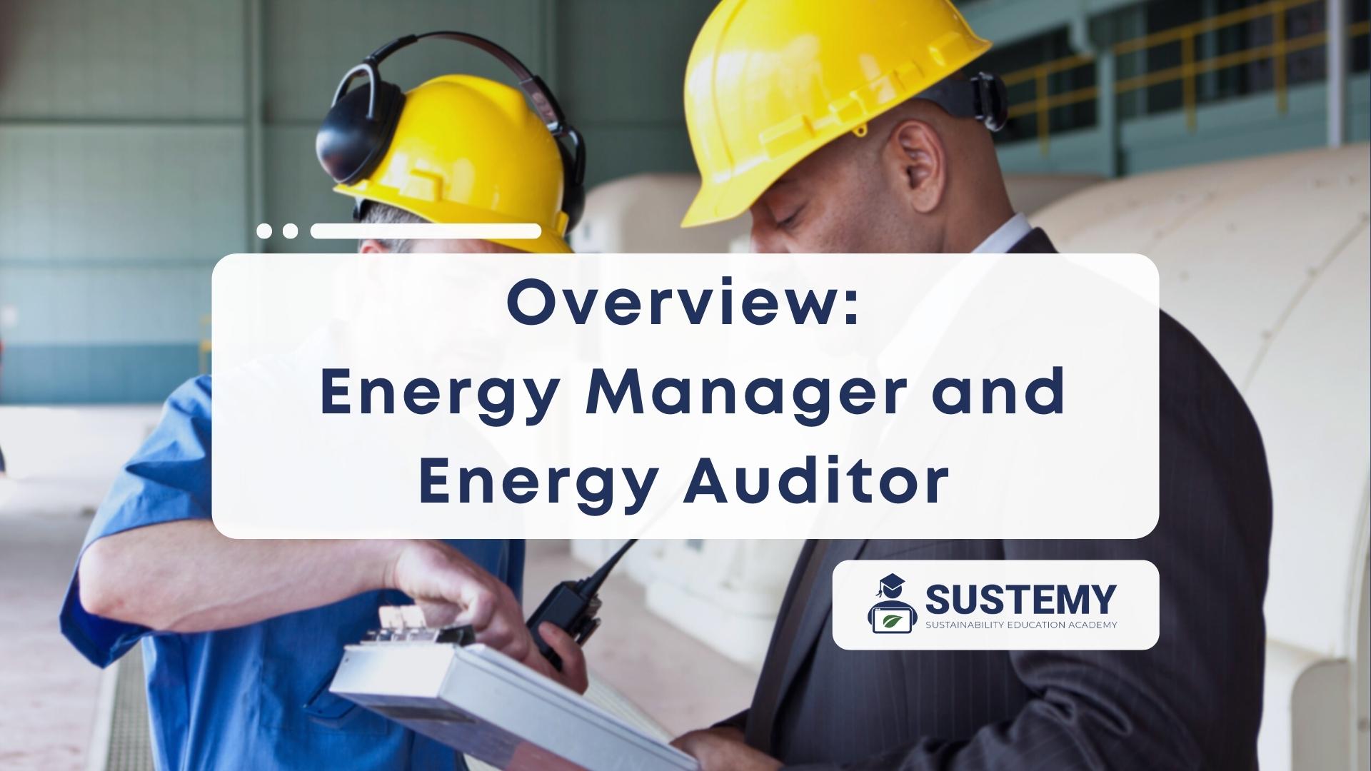 Energy manager and energy auditor