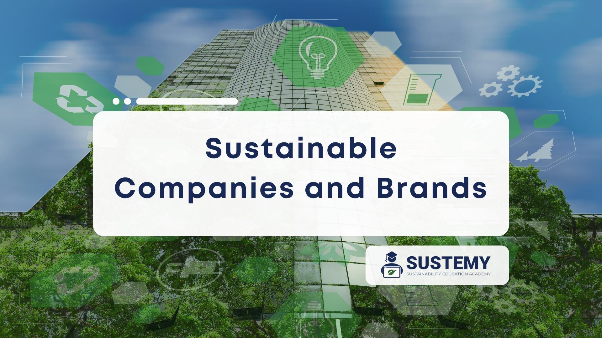 Featured image of how to know if a company is sustainable