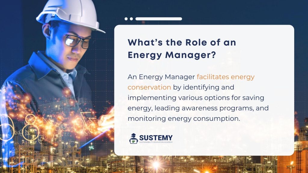 The role of an energy manager defined concisely