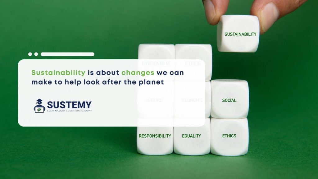 Infographic of what sustainability is all about