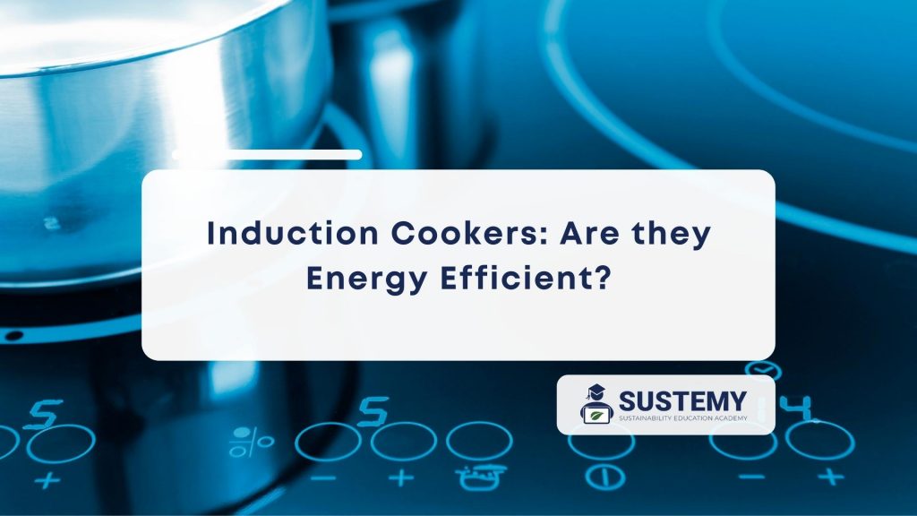 Featured image of are induction cookers energy efficient