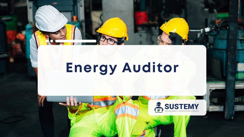 Featured Image of energy auditor