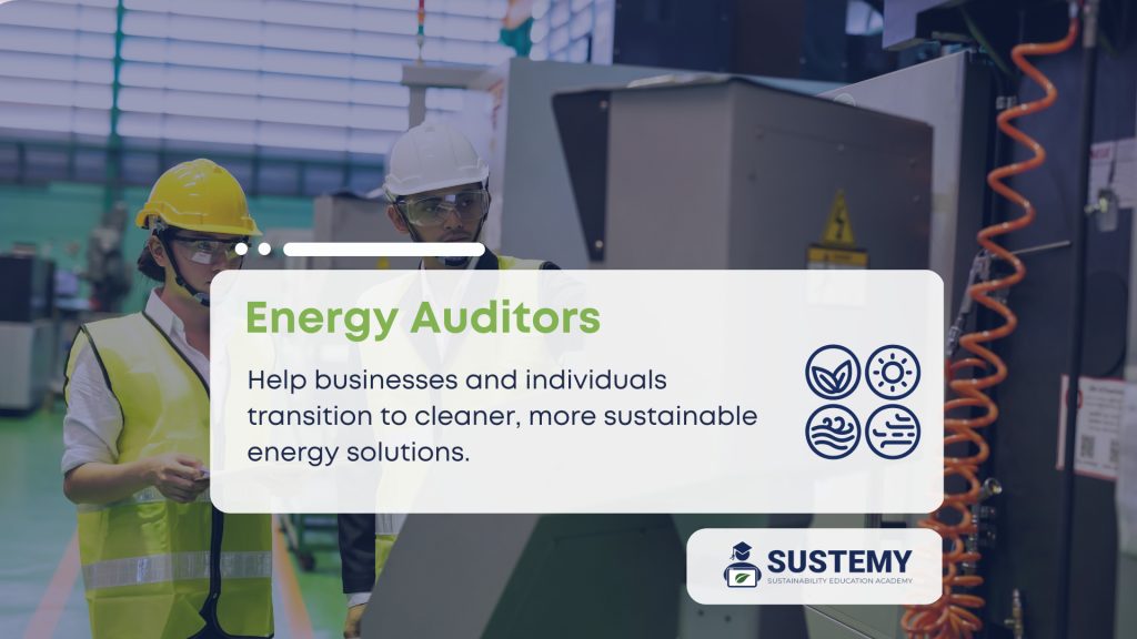 what do energy auditors do