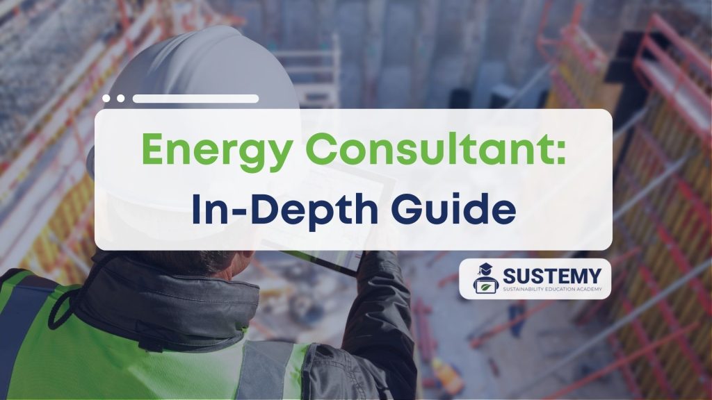 comprehensive guide to energy consultant