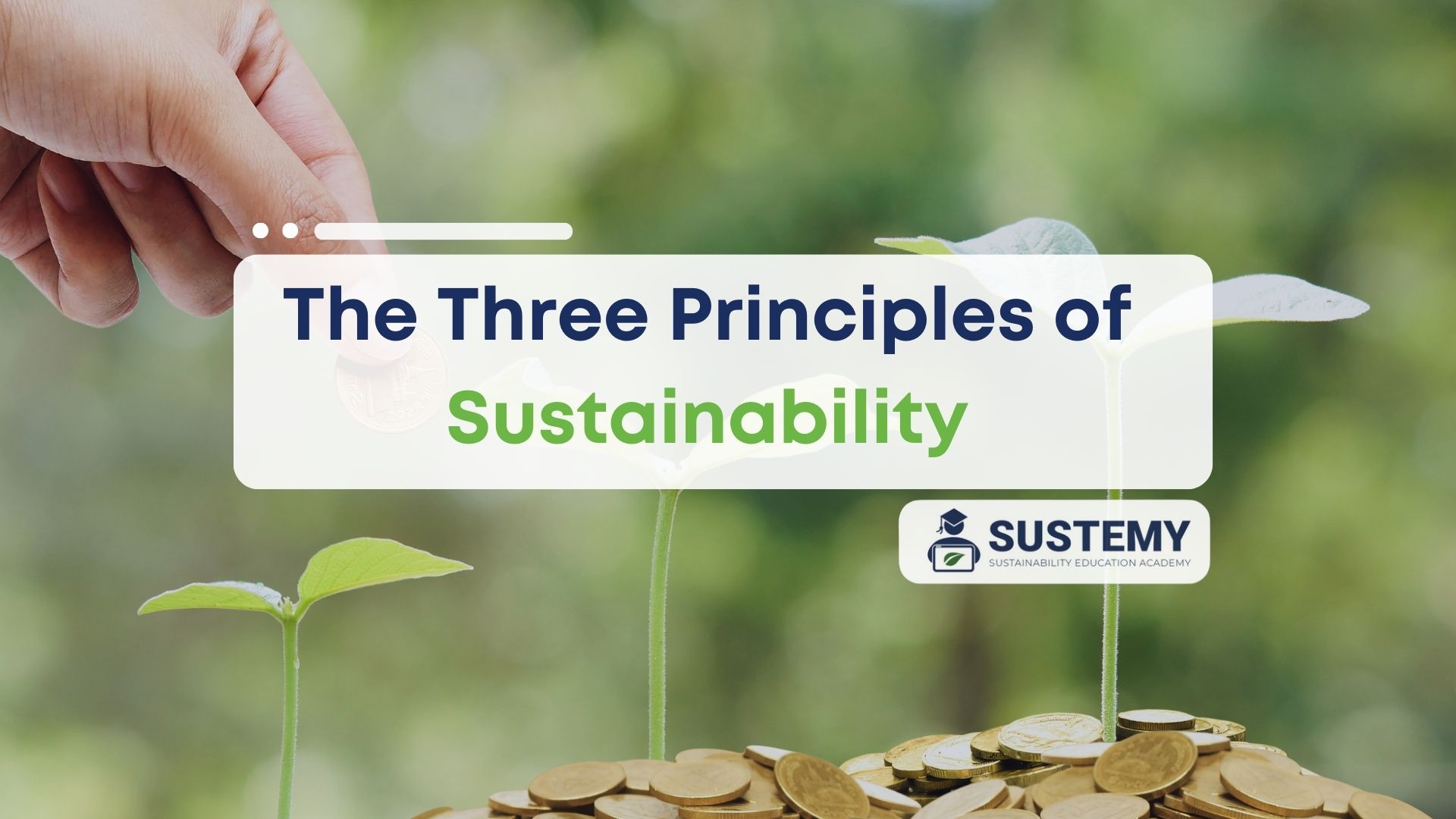 the three principles of sustainability